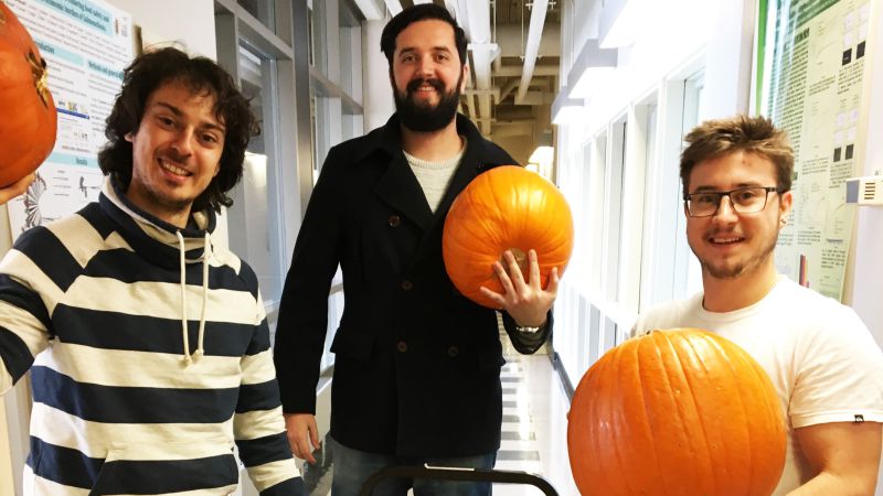 Pumpkin gang, with Matthew Moore, visiting from the University of Liverpool
